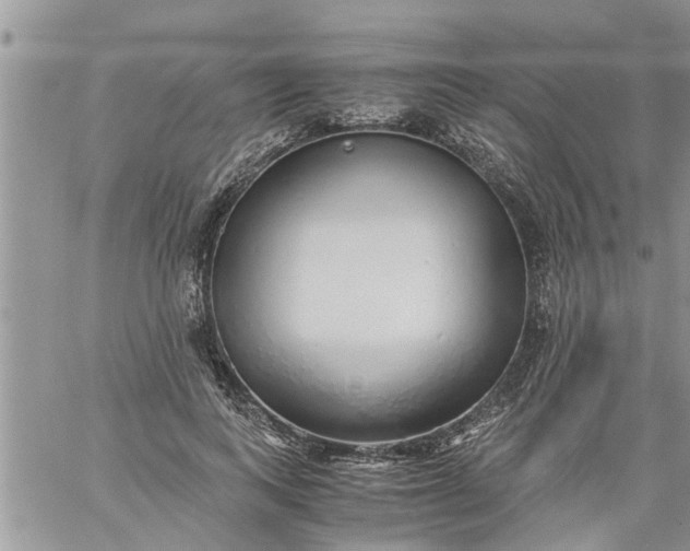 X0000060780743200511241819