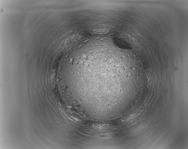 X0000060780745200511241819