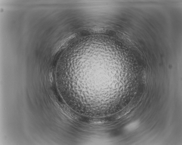 X0000060780746200511241819