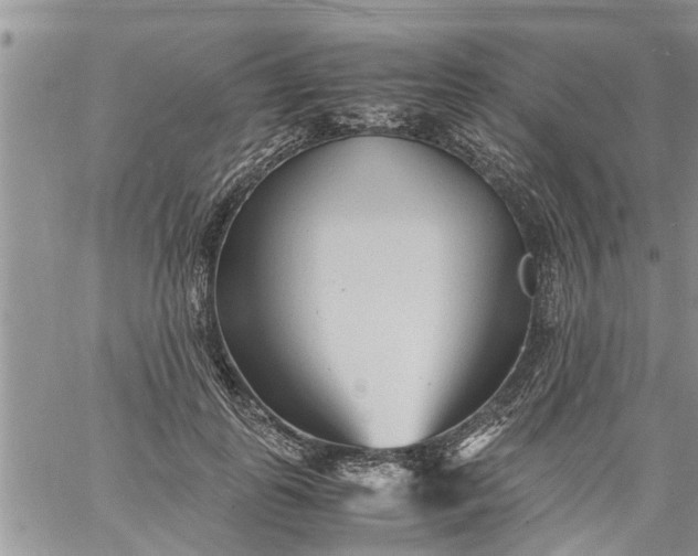 X0000060780747200511241819