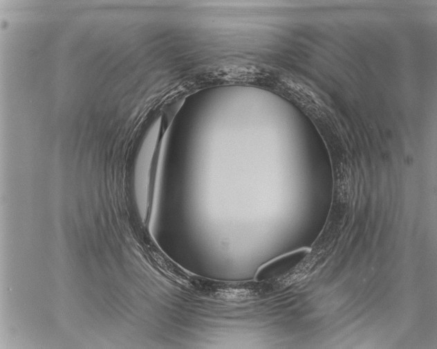 X0000060780748200511241819