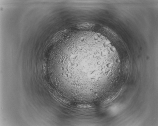 X0000060780749200511241819