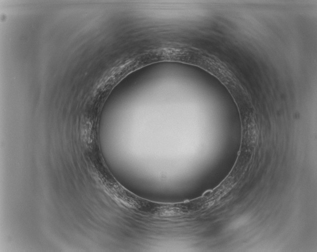 X0000060780750200511241819