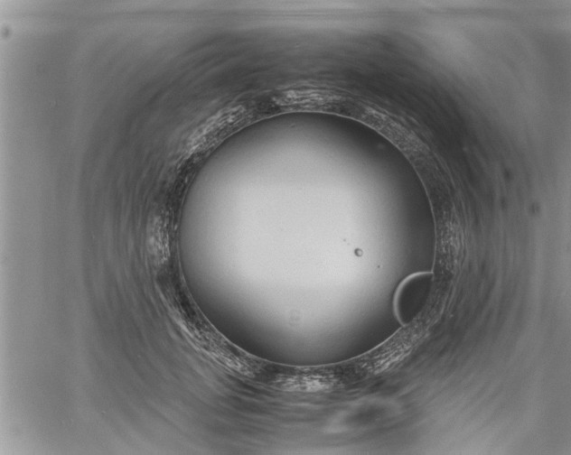 X0000060780751200511241819