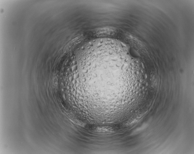 X0000060780753200511241819