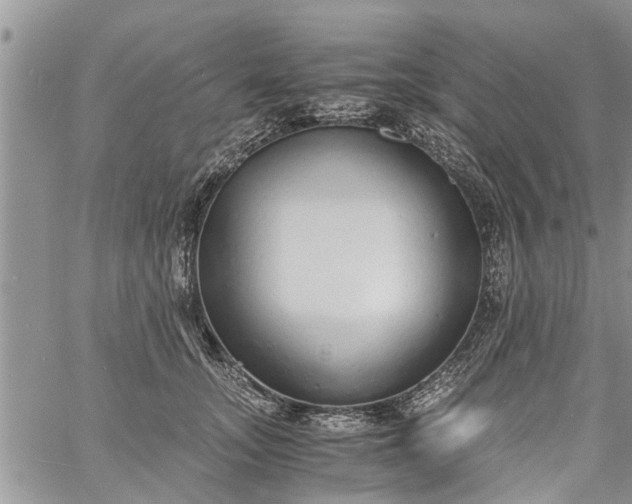 X0000060780755200511241819