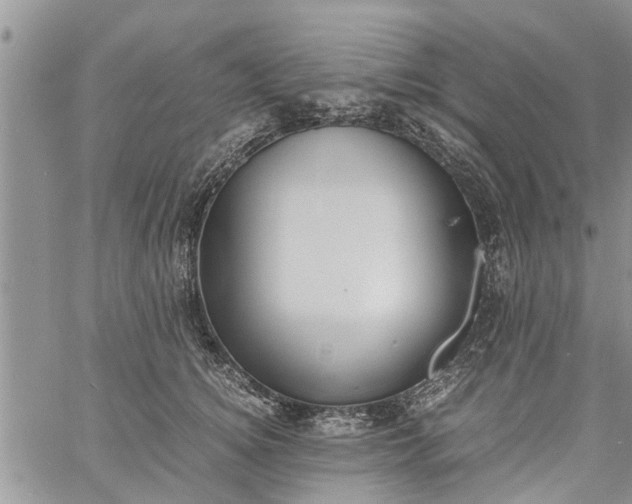 X0000060780756200511241819