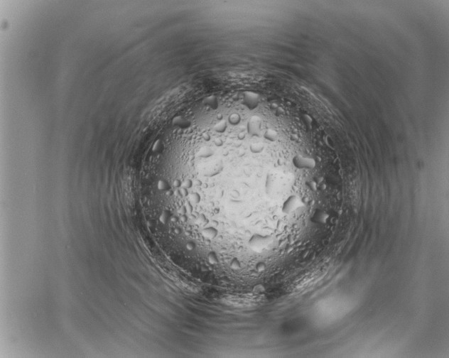 X0000060780757200511241819