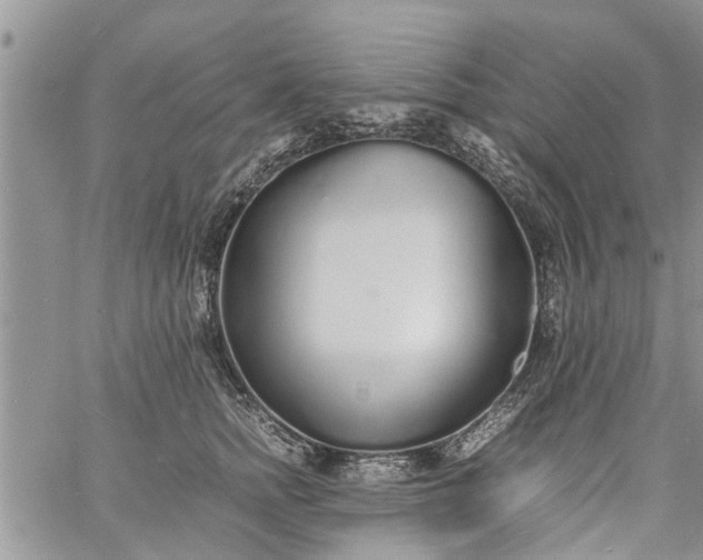 X0000060780758200511241819