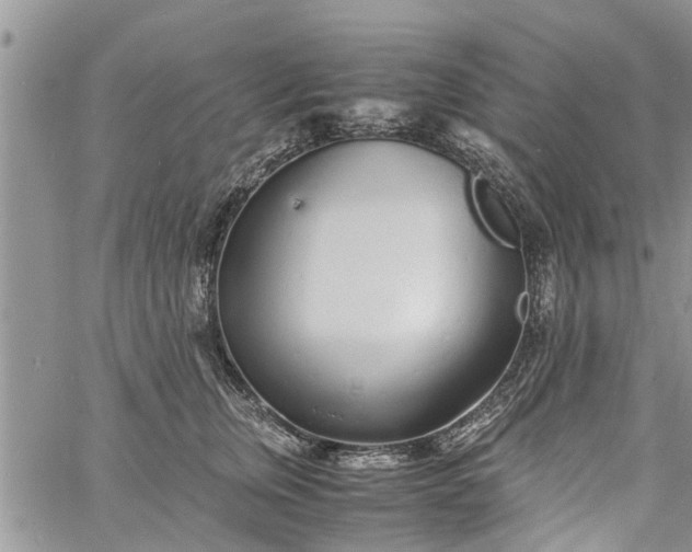 X0000060780759200511241819