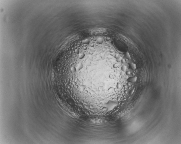 X0000060780761200511241819