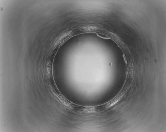 X0000060780762200511241819