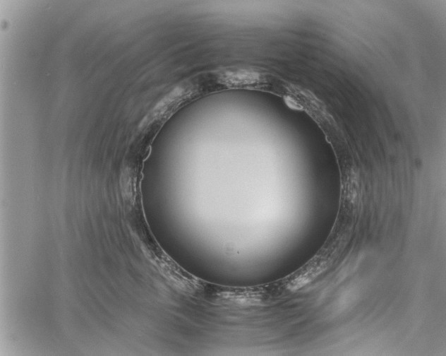 X0000060780763200511241819