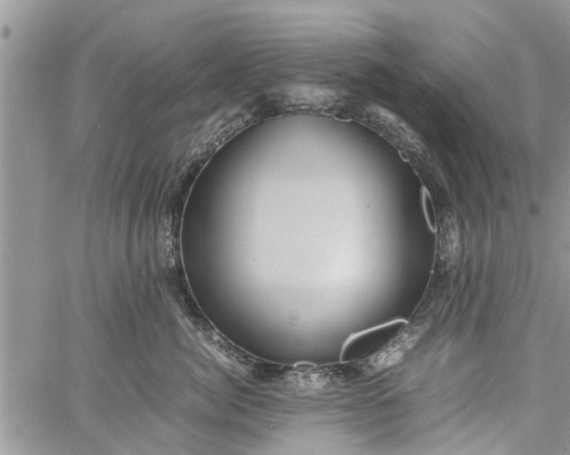 X0000060780764200511241819