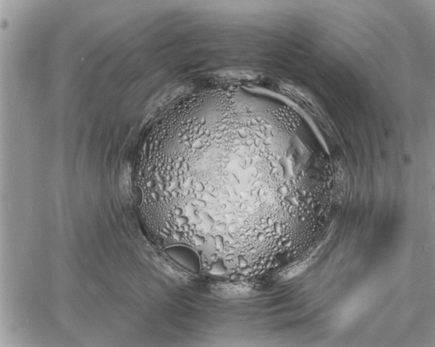 X0000060780765200511241819