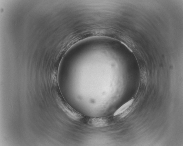 X0000060780766200511241819