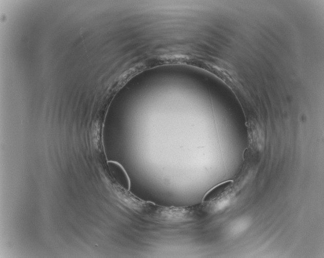 X0000060780767200511241819