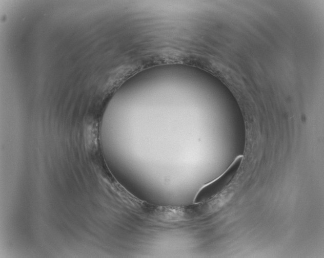 X0000060780768200511241819