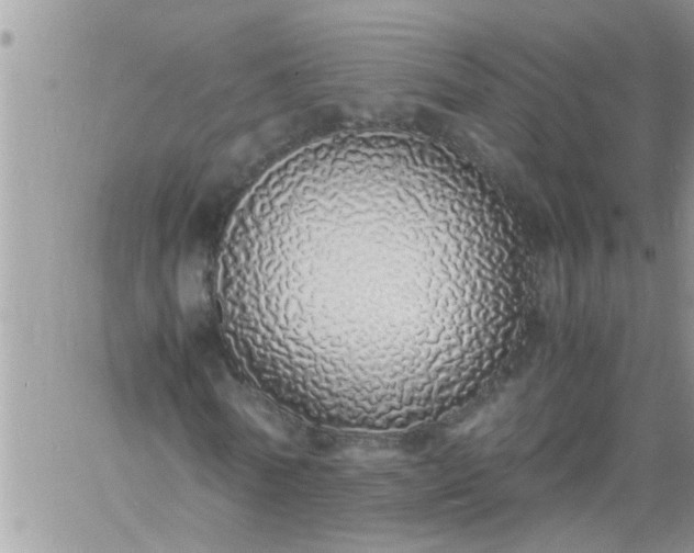 X0000060780770200511241818