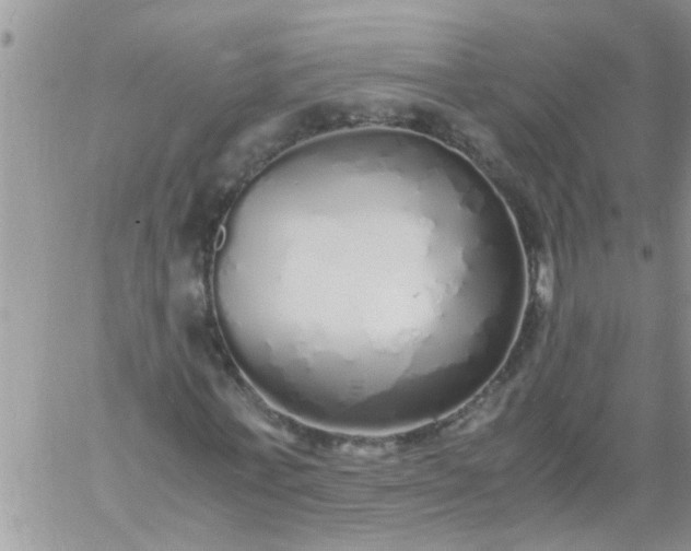 X0000060780771200511241818