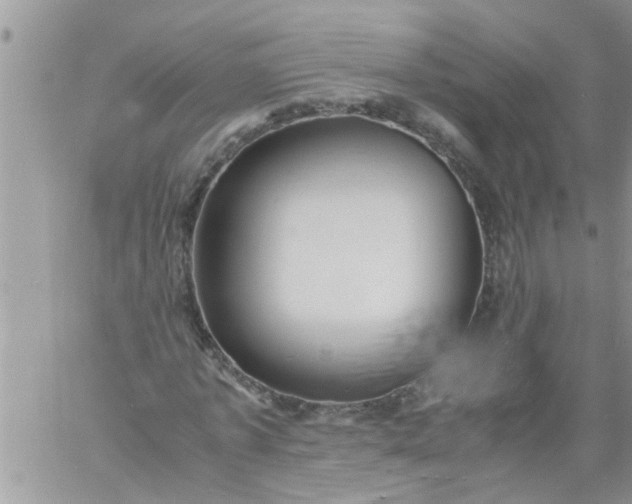 X0000060780773200511241818