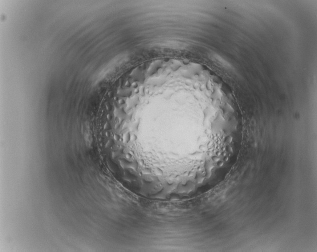 X0000060780774200511241818