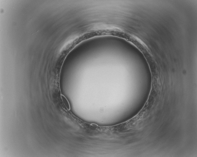 X0000060780775200511241818