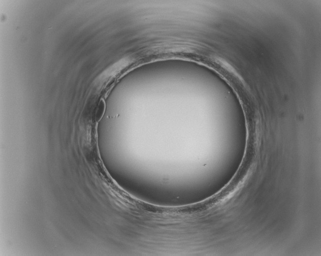 X0000060780777200511241818