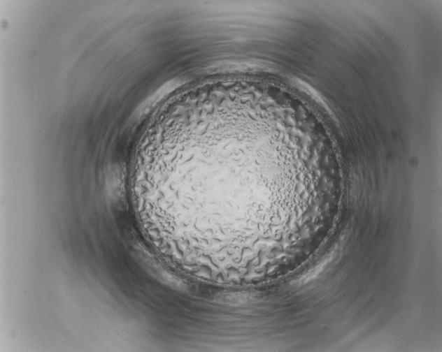 X0000060780778200511241818