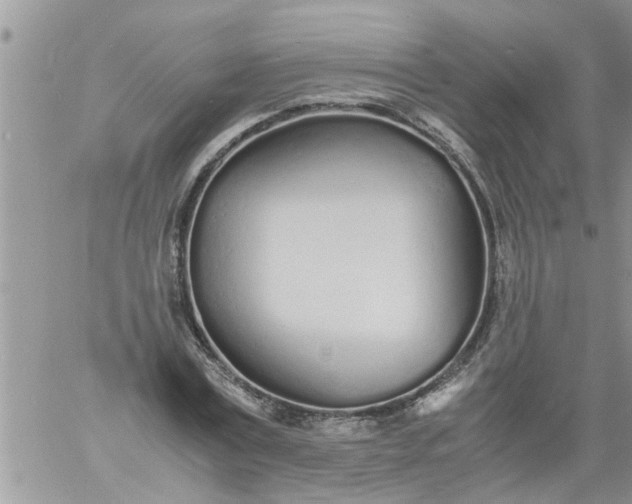 X0000060780779200511241818