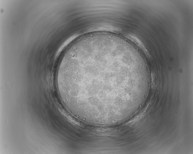 X0000060780780200511241818