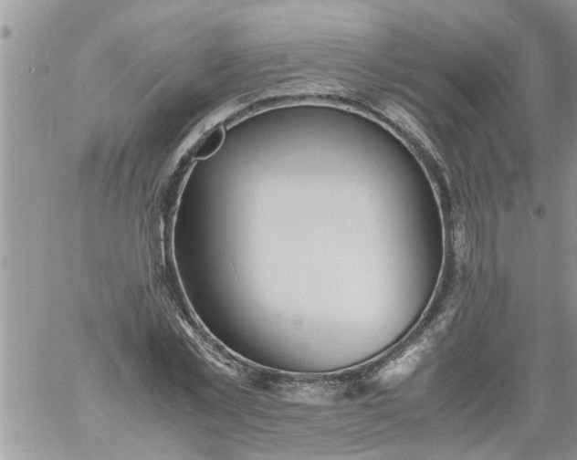 X0000060780781200511241818