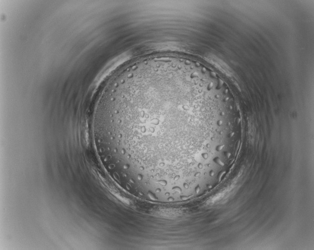 X0000060780782200511241818