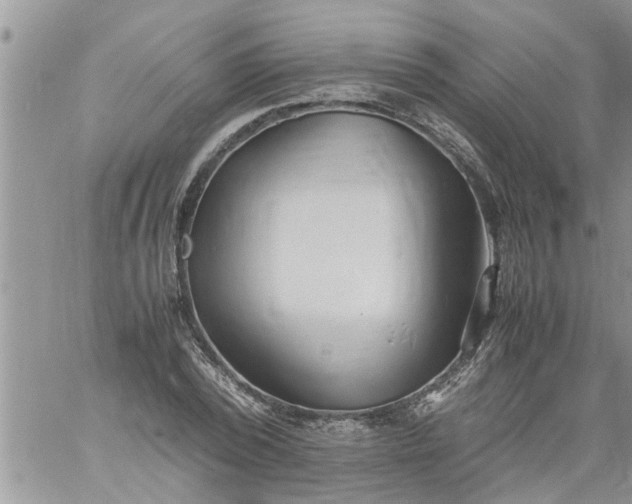 X0000060780784200511241818