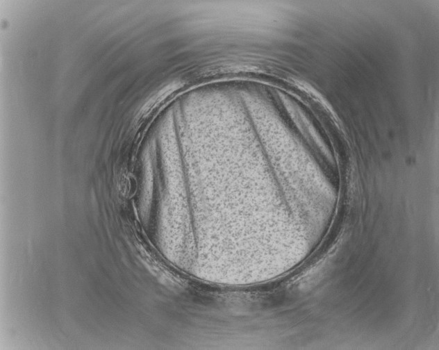 X0000060780785200511241818