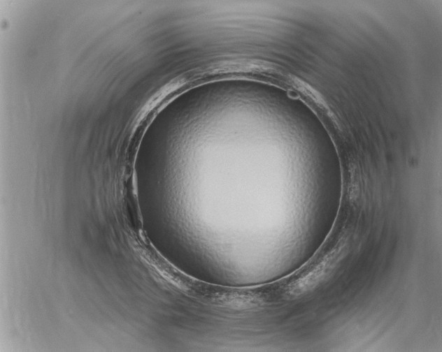 X0000060780786200511241818