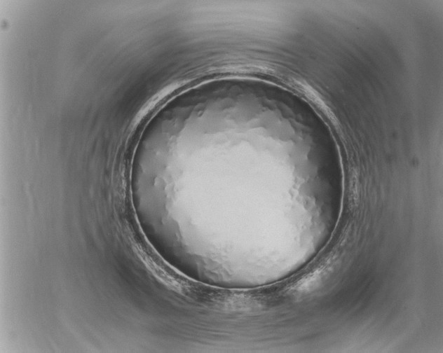 X0000060780787200511241818