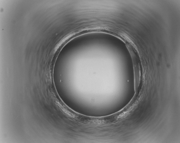 X0000060780789200511241818