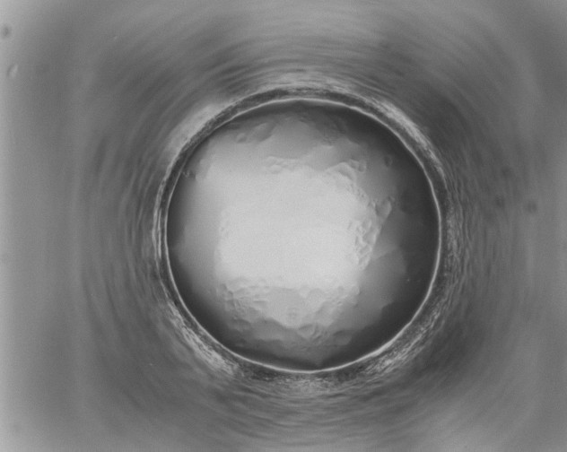 X0000060780791200511241818