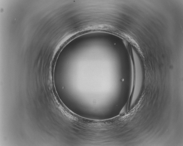 X0000060780792200511241818