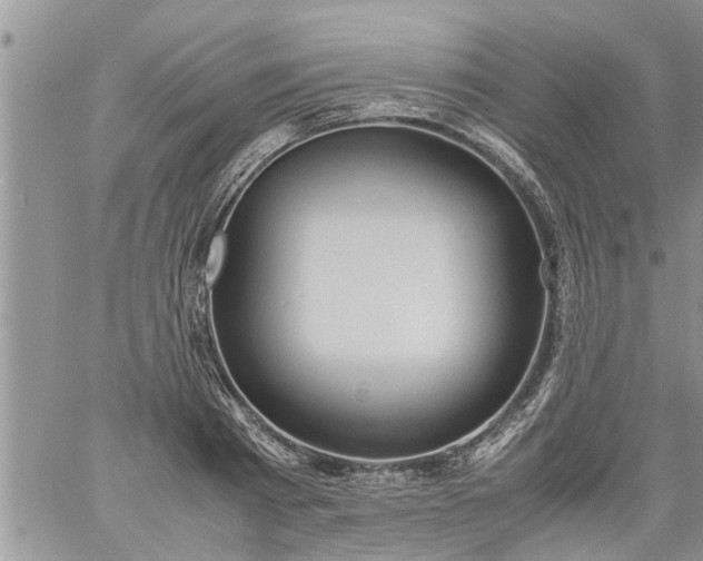 X0000060780793200511241818