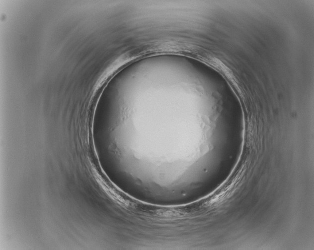 X0000060780795200511241818