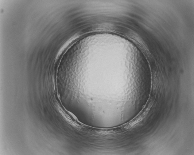 X0000060780796200511241818