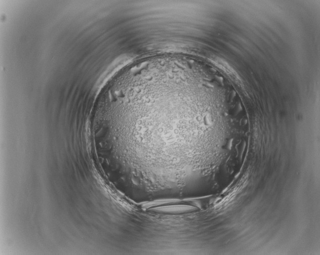 X0000060780798200511241818