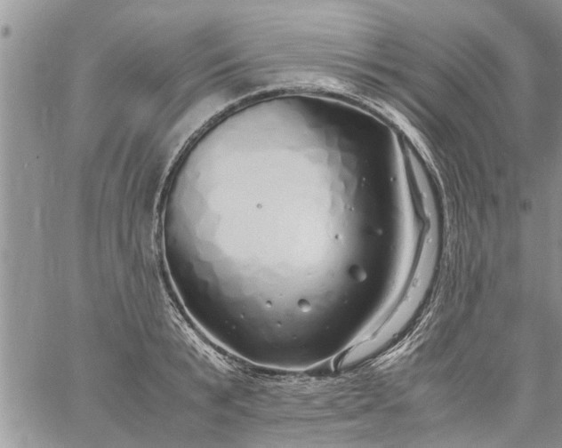 X0000060780799200511241818