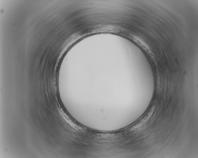 X0000060780800200511241818