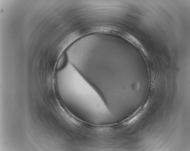 X0000060780802200511241818