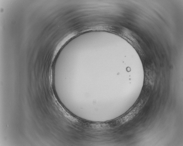 X0000060780804200511241818