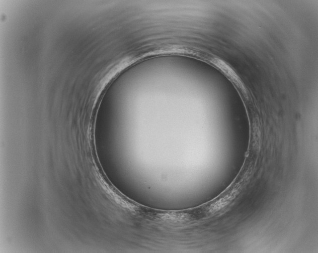 X0000060780805200511241818