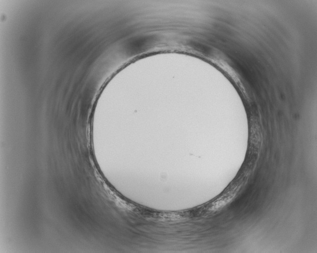 X0000060780807200511241818